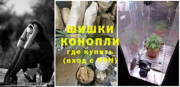 ПСИЛОЦИБИНОВЫЕ ГРИБЫ Абдулино