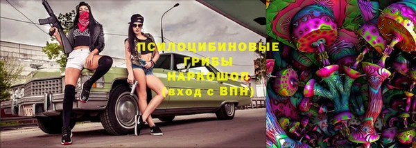 соль курить ск Алзамай