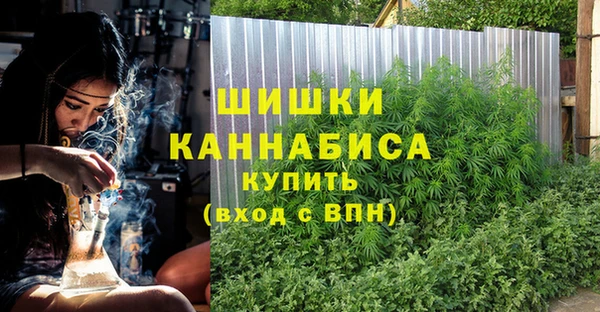 ПСИЛОЦИБИНОВЫЕ ГРИБЫ Абдулино